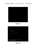 Anti-Biofouling Materials and Methods of Making Same diagram and image