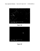 Anti-Biofouling Materials and Methods of Making Same diagram and image