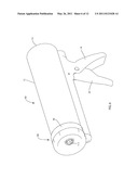 DISPENSER AND FLEXIBLE POUCH FOR LIQUID FOOD PRODUCT diagram and image