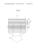 ORGANIC LIGHT EMITTING DIODE LIGHTING APPARATUS diagram and image