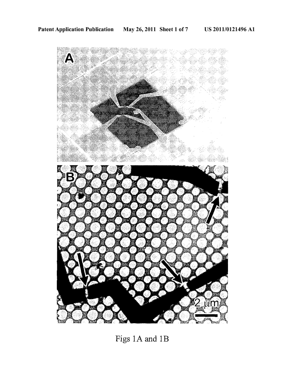 SHAPE MANIPULATION OF NANOSTRUCTURES - diagram, schematic, and image 02