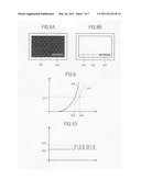 DISPLAY DEVICE diagram and image