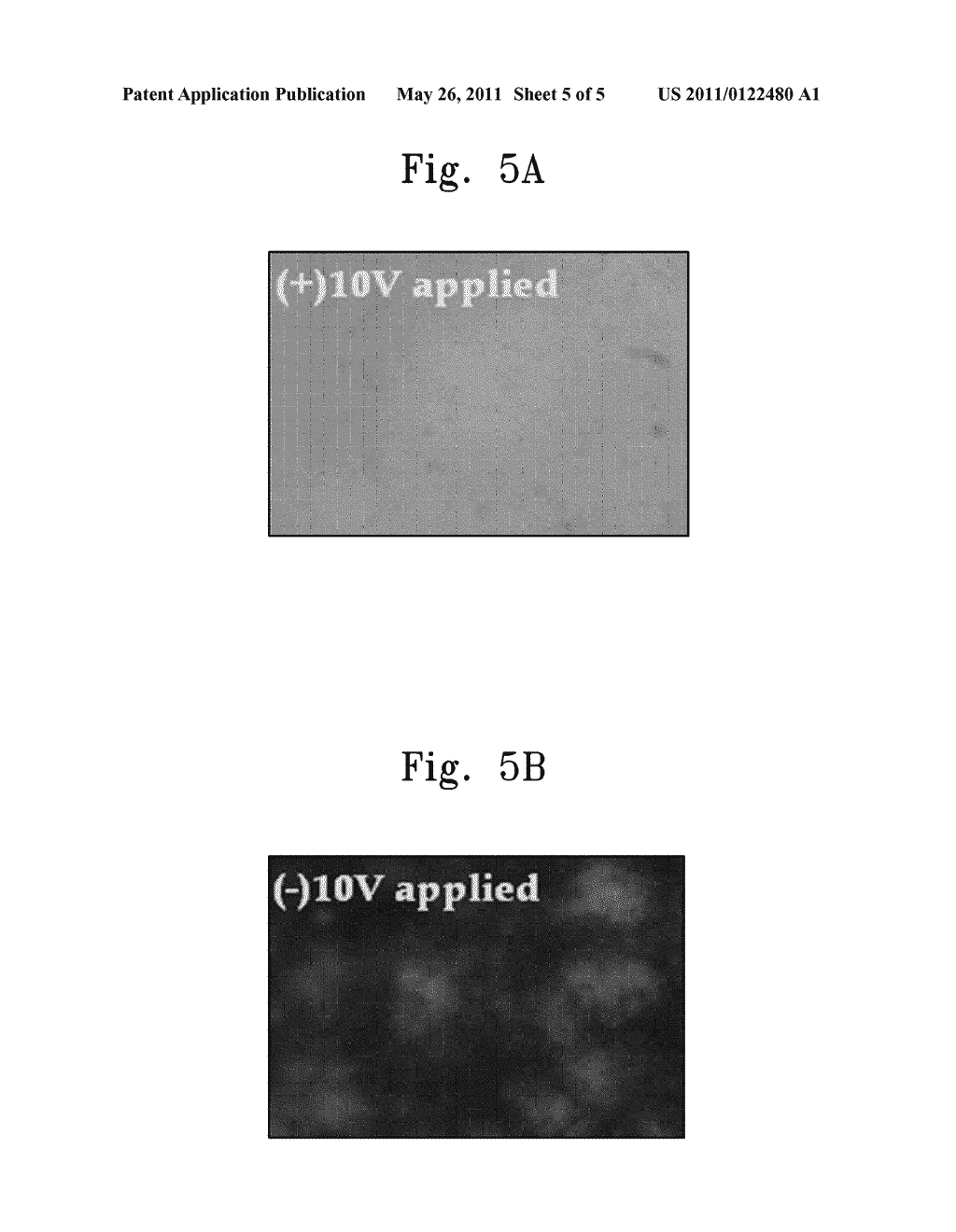 METHOD OF FABRICATING ELECTROPHORETIC INK, ELECTROPHORETIC INK FORMED USING THE METHOD, AND ELECTROPHORETIC DISPLAY HAVING THE SAME - diagram, schematic, and image 06