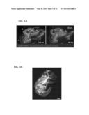 MULTIPLE-PHOTON EXCITATION LIGHT SHEET ILLUMINATION MICROSCOPE diagram and image