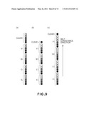 IMAGE FORMING APPARATUS diagram and image