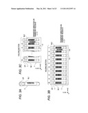 SAMPLE PROCESSING APPARATUS AND SAMPLE RACK TRANSPORTING METHOD diagram and image