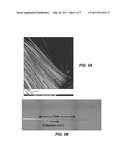 GaN Whiskers and Methods of Growing Them from Solution diagram and image