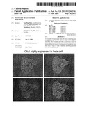 PANCREATIC BETA-CELL MASS BIOMARKER diagram and image