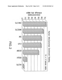 PANCREATIC BETA-CELL MASS BIOMARKER diagram and image