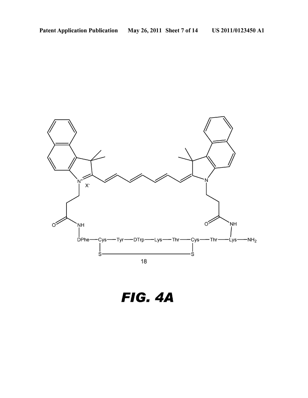 MACROCYCLIC CYANINE AND INDOCYANINE BIOCONJUGATES PROVIDE IMPROVED BIOMEDICAL APPLICATION - diagram, schematic, and image 08