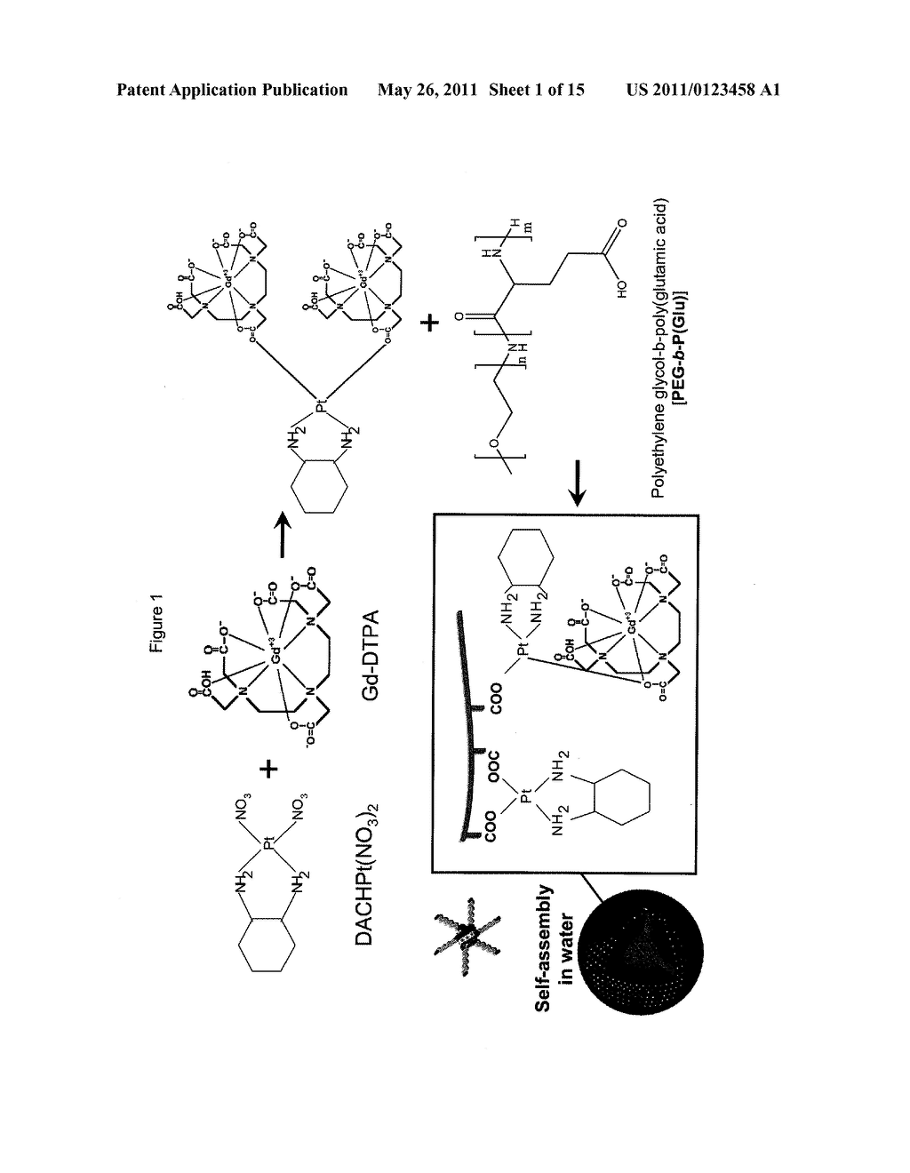 POLYMER-METAL COMPLEX COMPOSITE HAVING MRI CONTRAST ABILITY AND MRI CONTRASTING AND/OR ANTITUMOR COMPOSITION USING THE SAME - diagram, schematic, and image 02