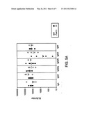 METHODS AND COMPOSITIONS FOR TREATING FUS1 RELATED DISORDERS diagram and image