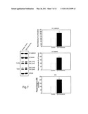 CELLULAR DIFFERENTIATION PROMOTION diagram and image