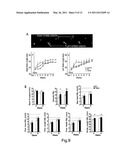 CELLULAR DIFFERENTIATION PROMOTION diagram and image