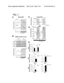 Methods of Affecting Biological Function Through Circadian Clock Feedback Cycle by NAMPT-Mediated NAD+ Biosynthesis diagram and image