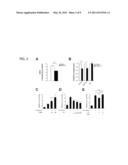 Methods of Affecting Biological Function Through Circadian Clock Feedback Cycle by NAMPT-Mediated NAD+ Biosynthesis diagram and image