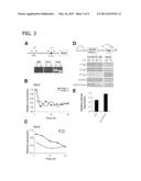 Methods of Affecting Biological Function Through Circadian Clock Feedback Cycle by NAMPT-Mediated NAD+ Biosynthesis diagram and image