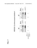 Methods of Affecting Biological Function Through Circadian Clock Feedback Cycle by NAMPT-Mediated NAD+ Biosynthesis diagram and image