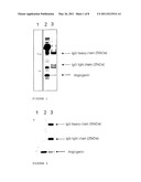 ANGIOGENIN-ENRICHED MILK FRACTIONS diagram and image