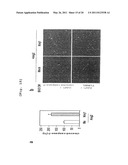 COMPOSITION COMPRISING EXPRESSION OR ACTIVITY INHIBITORS OF NINJURIN 1 FOR THE PREVENTION AND TREATMENT OF INFLAMMATORY DISEASE diagram and image