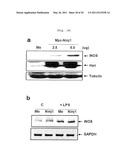 COMPOSITION COMPRISING EXPRESSION OR ACTIVITY INHIBITORS OF NINJURIN 1 FOR THE PREVENTION AND TREATMENT OF INFLAMMATORY DISEASE diagram and image