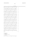 NUCLEIC ACID AND CORRESPONDING PROTEIN ENTITLED 151P3D4 USEFUL IN TREATMENT AND DETECTION OF CANCER diagram and image