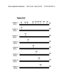 NUCLEIC ACID AND CORRESPONDING PROTEIN ENTITLED 151P3D4 USEFUL IN TREATMENT AND DETECTION OF CANCER diagram and image