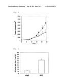 USE OF AN EFFICACY MARKER FOR OPTIMIZING THERAPEUTIC EFFICACY OF AN ANTI-HUMAN PD-1 ANTIBODY ON CANCERS diagram and image