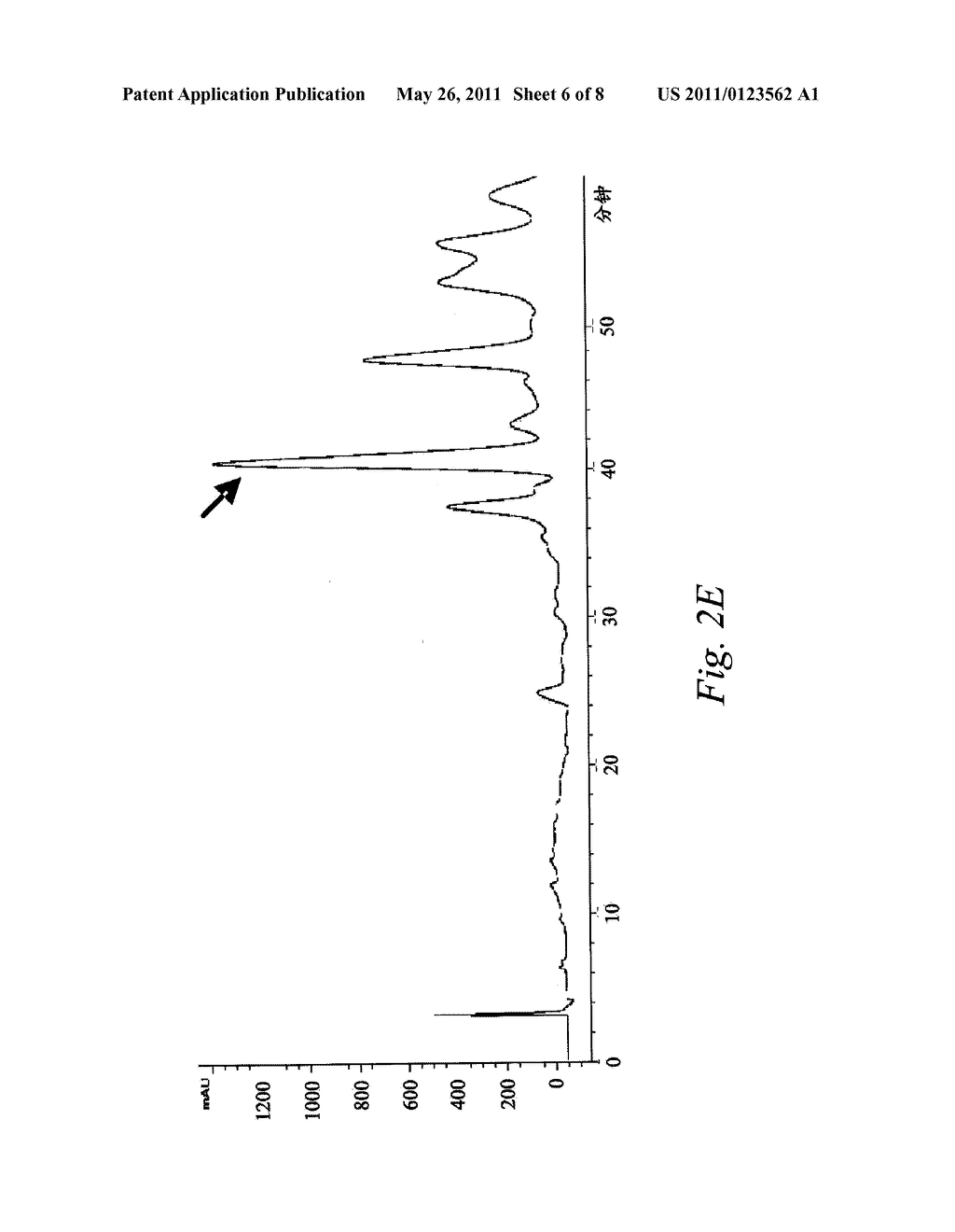 ANTI-CANCER ACTIVE SUBSTANCE FROM ANTRODIA CAMPHORATA, METHOD FOR PREPARING THE SAME AND USE THEREOF - diagram, schematic, and image 07