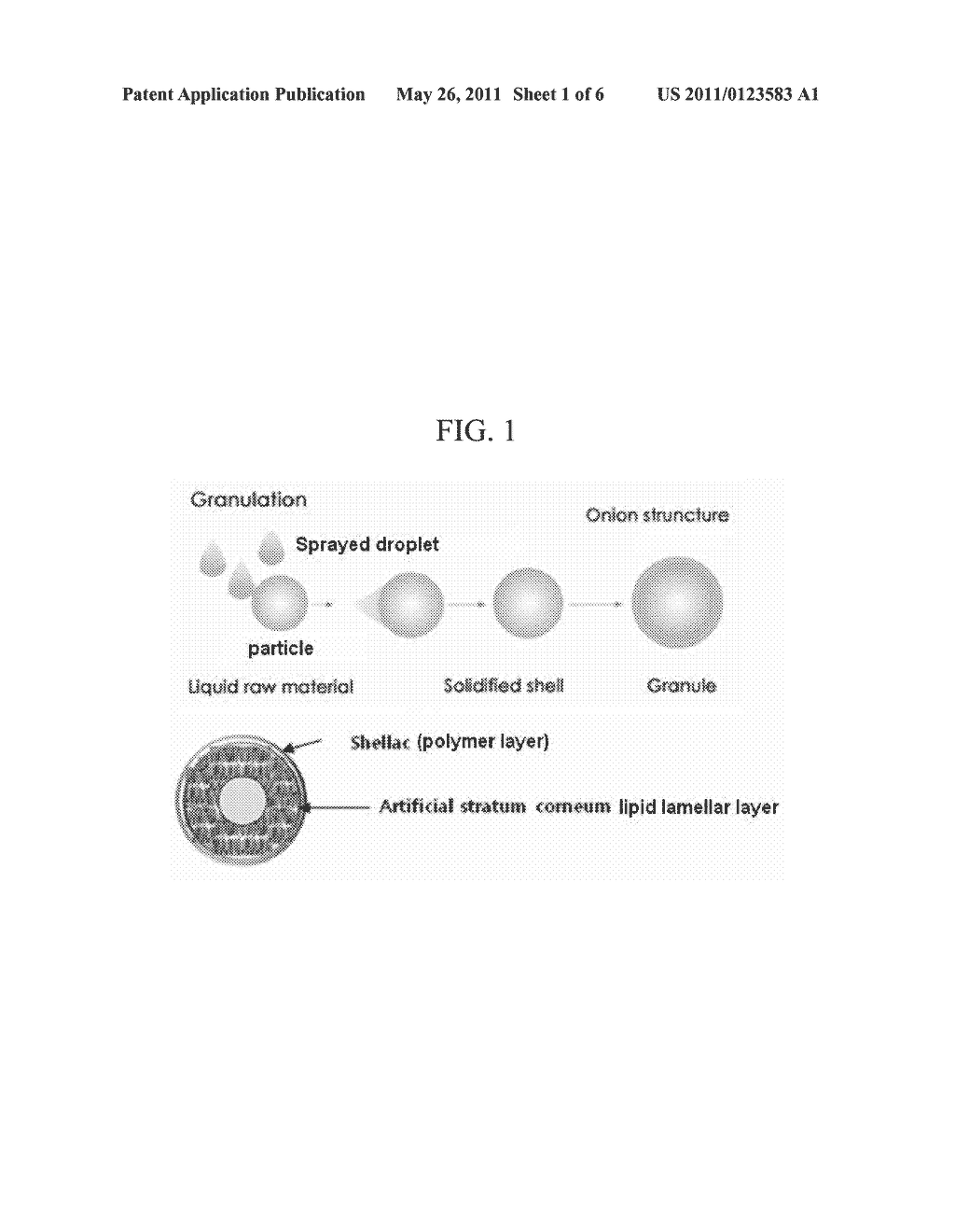 MULTI-LAYERED LAMELLAR GRANULE AND SKIN EXTERNAL APPLICATION COMPOSITION CONTAINING SAME - diagram, schematic, and image 02