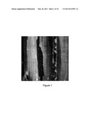 ELECTRODE, AN ELECTROCHEMICAL DEVICE AND METHOD THEREOF diagram and image