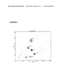 HUMAN PAPILLOMA VIRUS (HPV) DETECTION USING NUCLEIC ACID PROBES, MICROBEADS AND FLUORESCENT-ACTIVATED CELL SORTER (FACS) diagram and image