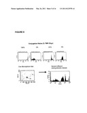 HUMAN PAPILLOMA VIRUS (HPV) DETECTION USING NUCLEIC ACID PROBES, MICROBEADS AND FLUORESCENT-ACTIVATED CELL SORTER (FACS) diagram and image