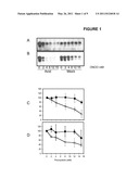 DETECTION OF PATHOGENIC POLYPEPTIDES USING AN EPITOPE PROTECTION ASSAY diagram and image