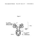 Proteolysis Resistant Antibody Preparations diagram and image