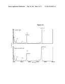 Proteolysis Resistant Antibody Preparations diagram and image