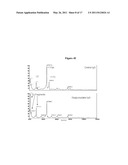 Proteolysis Resistant Antibody Preparations diagram and image