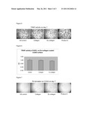 MULTI-PURPOSE SUBSTRATES USEFUL FOR CELL CULTURE AND METHODS FOR MAKING AND USING THE SAME diagram and image