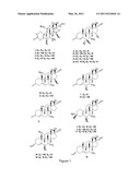 Method of producing tibolone metabolites by fermentation with Cunninghamella elegans diagram and image