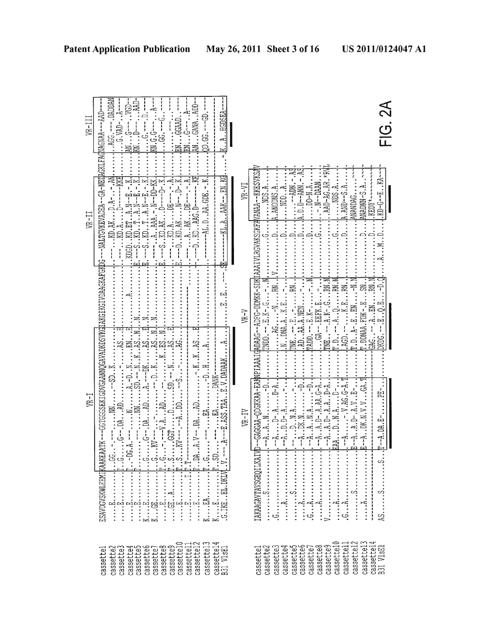 VMP-LIKE SEQUENCES OF PATHOGENIC BORRELIA SPECIES AND STRAINS - diagram, schematic, and image 04