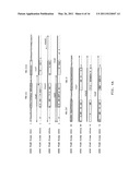 VMP-LIKE SEQUENCES OF PATHOGENIC BORRELIA SPECIES AND STRAINS diagram and image