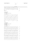 VMP-LIKE SEQUENCES OF PATHOGENIC BORRELIA SPECIES AND STRAINS diagram and image