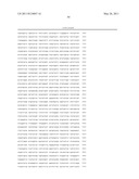 VMP-LIKE SEQUENCES OF PATHOGENIC BORRELIA SPECIES AND STRAINS diagram and image