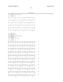 VMP-LIKE SEQUENCES OF PATHOGENIC BORRELIA SPECIES AND STRAINS diagram and image