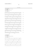 VMP-LIKE SEQUENCES OF PATHOGENIC BORRELIA SPECIES AND STRAINS diagram and image