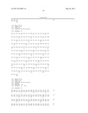 VMP-LIKE SEQUENCES OF PATHOGENIC BORRELIA SPECIES AND STRAINS diagram and image