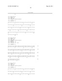 VMP-LIKE SEQUENCES OF PATHOGENIC BORRELIA SPECIES AND STRAINS diagram and image