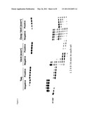 POLYMERASE INCORPORATION OF NON-STANDARD NUCLEOTIDES diagram and image