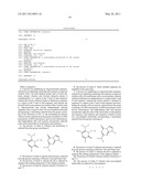 POLYMERASE INCORPORATION OF NON-STANDARD NUCLEOTIDES diagram and image