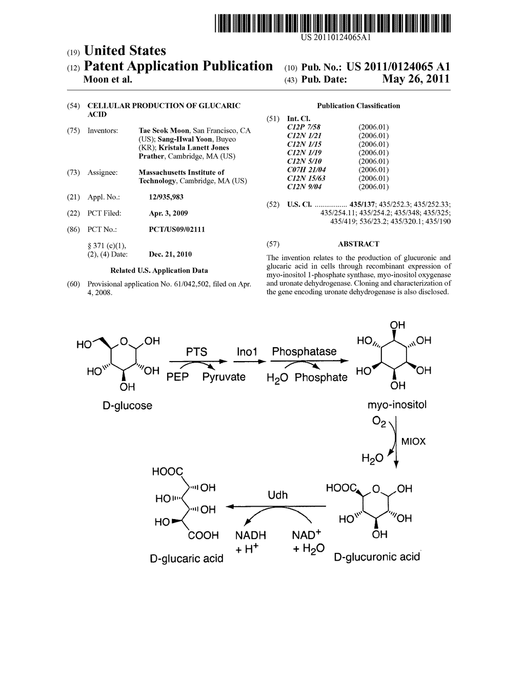 CELLULAR PRODUCTION OF GLUCARIC ACID - diagram, schematic, and image 01